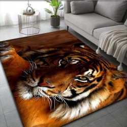Cross-border Amazon American floor mat, stain-resistant and wear-resistant entryway floor mat, bedroom, living room, and coffee table rug