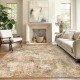 TEMU Cross-border Nordic Abstract Carpet, Living Room Decorative, Easy-Care, Non-Slip Sofa Blanket, Stain-Resistant Bedside Blanket