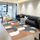 Nordic Simple living room carpet, modern sofa coffee table rug, printed wall-to-wall bedroom mat with stain-resistant design.