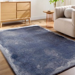 Cross-border Kavita-style imitation cashmere carpet for bedroom and living room, stain-resistant, wear-resistant, thickened, skin-friendly velvet bedside blanket.
