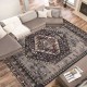 TEMU cross-border Nordic Persian printed carpets for living room decoration, non-slip, stain-resistant sofa and coffee table blankets.