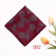 Lei'er pocket squares for men, polyester suit and dress chest scarves, multi-colored geometric handkerchiefs, from the original manufacturer.