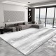 High-end, simple, stain-resistant living room carpet, large wall-to-wall blanket, home bedroom bedside rug, wear-resistant sofa blanket