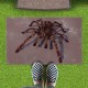 Cross-border Amazon Halloween floor mat, stain-resistant, easy-care floor mat for the home entryway, non-slip, absorbent floor mat for the bathroom.