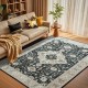 Cross-border Amazon Persian carpet, living room, stain-resistant, easy-care, dust-proof bedside decorative rug