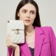 2025 new style genuine leather bags, mini cell phone bags, summer commuter crossbody bags, luxurious and trendy chain bags