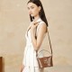 New trendy urban minimalist genuine leather women's bags, 2025 crossbody bags, light luxury niche premium capsule lock bags.