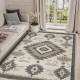 Cross-border retro ethnic-style crystal velvet printed carpet for living room, stain-resistant and skin-friendly, sofa blanket for balcony decoration
