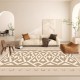 Nordic minimalist living room carpet, sofa coffee table blanket, bedroom bedside mat, high-end full-length closet carpet