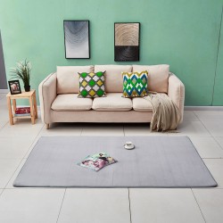 Simple solid color coral fleece rug, Nordic style living room coffee table mat, fresh and stylish, home bedside blanket, soft pet mat.