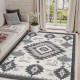 Cross-border retro ethnic-style crystal velvet printed carpet for living room, stain-resistant and skin-friendly, sofa blanket for balcony decoration