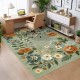 Cross-border direct sales of French floral living room carpet, bedroom and balcony wall-to-wall, non-slip, and easy-care bedside blanket.