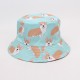 Spring/Summer outdoor camping, quick-drying hiking hats, men's and women's drawstring fishing hats, sun protection, and round-brimmed bucket hats for women.