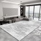 High-end, simple, stain-resistant living room carpet, large wall-to-wall blanket, home bedroom bedside rug, wear-resistant sofa blanket